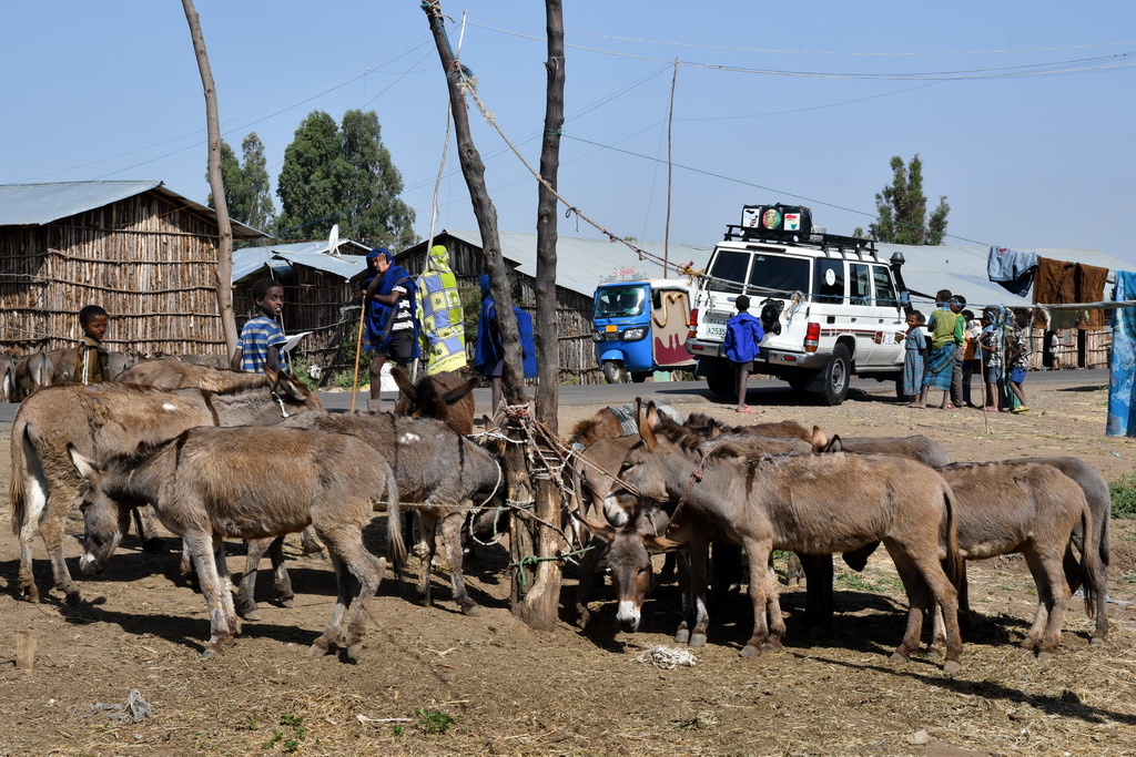 Bahir Dar to Gondar